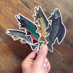 Fish of the north Fish of the north