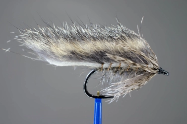 Squirrel Zonker Squirrel Zonker