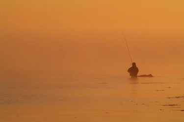 What a color! What a color!