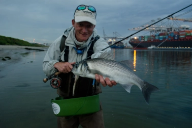 A priced import product A priced import product