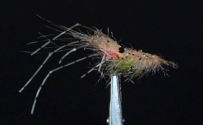 Kerns Perfect Leo Shrimp Kerns Perfect Leo Shrimp