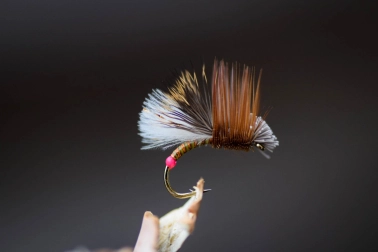 Caddis dry fly Caddis dry fly