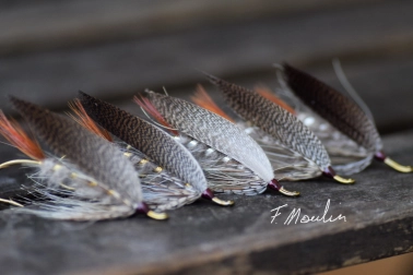 March brown salmon 2 March brown salmon 2