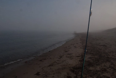 The rod, the fly The rod, the fly