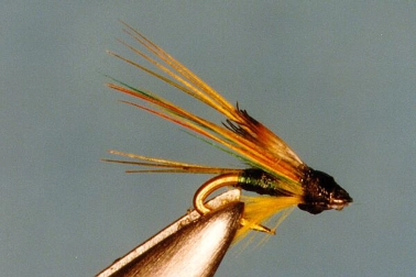 A Green Highander ... ?! A Green Highander ... ?!