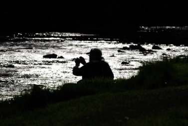 Angler attempting to thread fly to leader tippet Angler attempting to thread fly to leader tippet