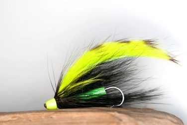 Dr. Statham Dr. Statham