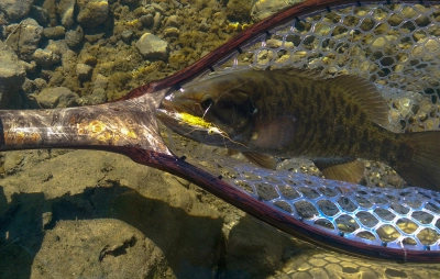 The safe way The safe way