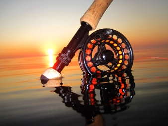 Fill flash Fill flash