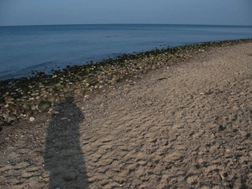 Long shadows Long shadows