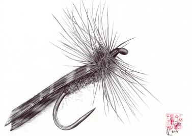 Kings river caddis Kings river caddis