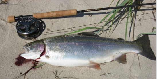 Rainbow from the sea Rainbow from the sea