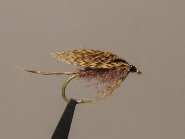 March Brown male March Brown male