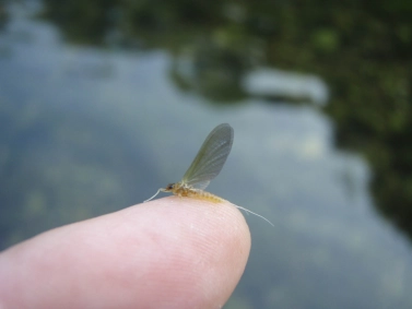 15 minutes 15 minutes