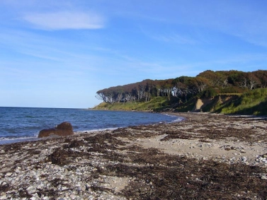 The Apple Island The Apple Island