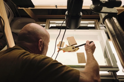 Fish makeup Fish makeup