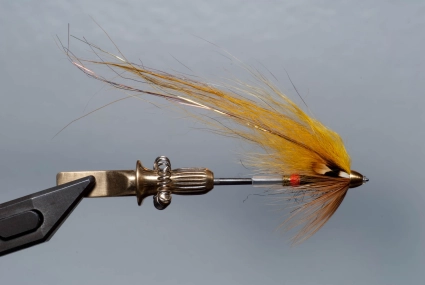 An unnamed tube fly An unnamed tube fly