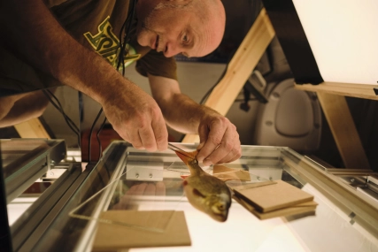 Morten the taxidermist Morten the taxidermist