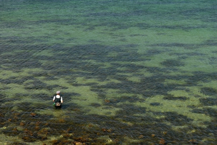 Too perfect Too perfect