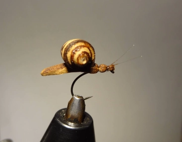 A snail A snail