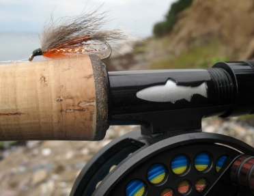 Coxy Streamer Coxy Streamer