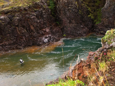 A beautiful salmon pool A beautiful salmon pool