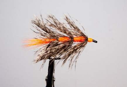 Several separate hackles Several separate hackles