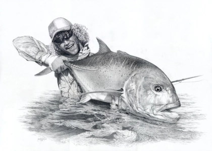 Kingfish drawing Kingfish drawing