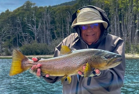 My acrobatic Brown My acrobatic Brown