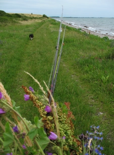 Nice coast Nice coast