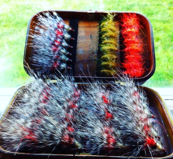 A Raccoon box A Raccoon box