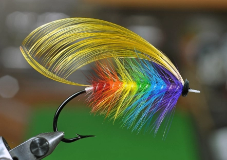 The Rainbow The Rainbow