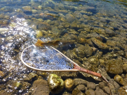 Jail breaking cutthroat Jail breaking cutthroat