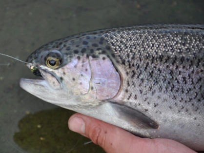 London Rainbow London Rainbow