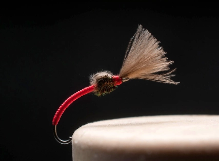 Red Tag Once and Away Red Tag Once and Away