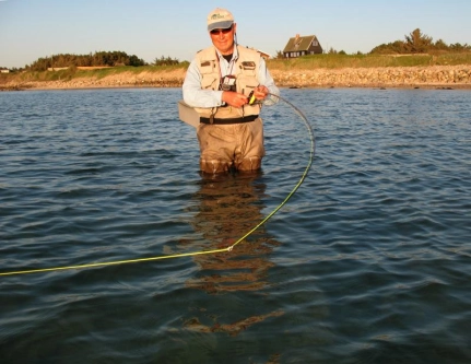 Down and dirty Down and dirty