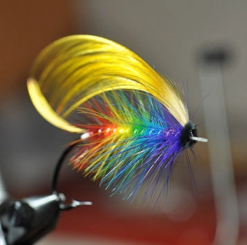 The Rainbow frontal view The Rainbow frontal view