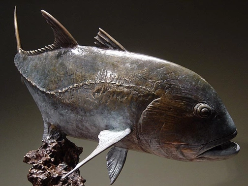 Giant kingfish Giant kingfish