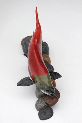 Sockeye salmon, top view Sockeye salmon, top view