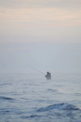 Angler in the mist Angler in the mist