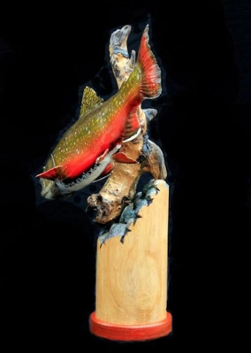 Brook trout from behind Brook trout from behind