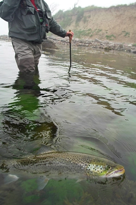 Hurrying to the place Hurrying to the place