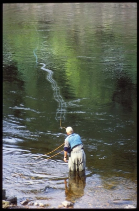 On the water On the water