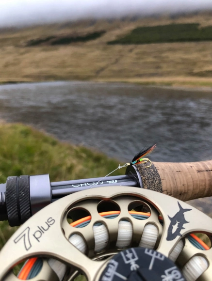 Small flies Small flies