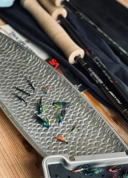 Tiny flies Tiny flies