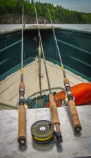 Mixed Gear Mixed Gear