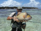 Triggerfish Caught in the Seychelles Triggerfish Caught in the Seychelles