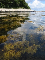 Reflection and clearity Reflection and clearity