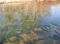 Detroit-area river sights Detroit-area river sights