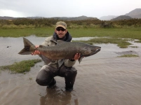 Patagonian salmon Patagonian salmon